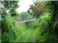 SX6759 : Lane near Owley by Adrian Platt