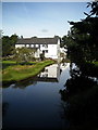 Pond Reflections at Millhall