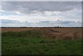 SE8021 : Flat farmland from Church Lane by Steve  Fareham