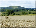 ST8344 : 2008 : Cley Hill from Upton Scudamore by Maurice Pullin