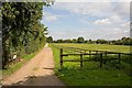 Driveway to Sanctuary Farm, Alresford Drove