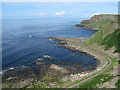 C9444 : Giant's Causeway from Cliff Path by Sue Adair