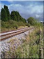 Old Railway Tracks Moira