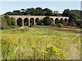 Railway Viaduct from road junction