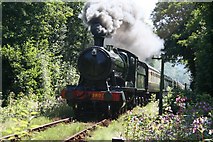 SX7863 : Steam train approaching Staverton station by Duncan Grey