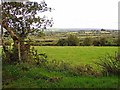 Rough pasture near Pentre Galar, Llanfyrnach