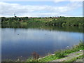 Upper Coves Reservoir and Arran View