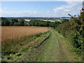 Track down Gibbet Hill