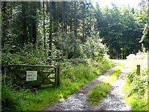NY9661 : Gateway into Dipton Wood by Oliver Dixon