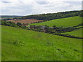 SU8598 : View over Lower North Dean by Andrew Smith