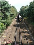 SZ0692 : Talbot Woods: train approaching Branksome Hill Road by Chris Downer