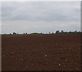 Tumulus at Upper Kilcott.