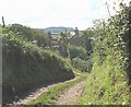 Approaching Pentrellwyn Cottage