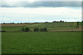 Grass fields south of Davishill.