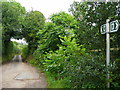 Lane and footpath to Bigglestone.