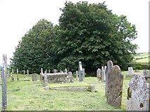 SX7176 : Churchyard, St Pancras Church, Widecombe-in-the-Moor by Maigheach-gheal