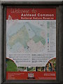 Information board on Ashtead Common