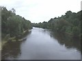 River Taff from Western Avenue