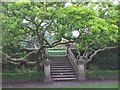 The gardens at Insole Court, Cardiff