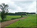 NY5362 : Public footpath from Cotehill Farm by Rose and Trev Clough