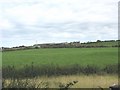 View across farmland towards the house and buildings of Yr Orsedd Farm