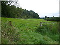 Strip field on boundary of Craykeland Wood