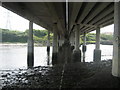 Bridge over the Wansbeck