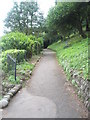 Path running above The rising Sun at Lynmouth