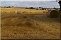 Harvest Scene near Forfar