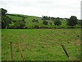 Ballydoolagh Townland