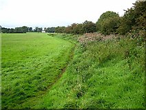 NY4358 : Hadrian's Wall National Trail between Linstock and Crosby by Oliver Dixon