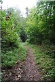 Bridleway to Shoreham