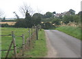 Shotley Walk looking east near Shotley Hall