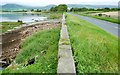 The Loughshore near Greencastle