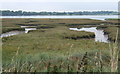 Saltmarsh at the edge of the Orwell