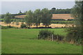 Fields north of the road to Shotley Gate