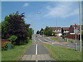 A view of Woodlands Road from a Pathway.