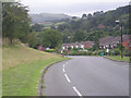 Road through Trehafren (NCR 81)