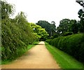 Terraced Walk - Wiltshire College, Lackham