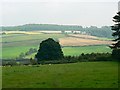 A view east from Sevenleaze Lane, Horsepools, Gloucestershire