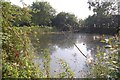 Pond, Paglesham Churchend