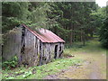 Derelict hut in woodland