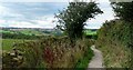 Keeper Lane panorama