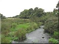 Afon Braint at Tyddyn-y-felin