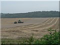 Edmondsham: fields of Lower Farm