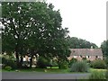 Haythorne: houses and big trees