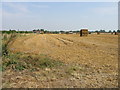 Field on outskirts of Sandwich