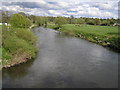 SJ4315 : River Severn view, Montford Bridge by kevin skidmore