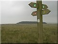 SN9537 : Footpath direction post in Sennybridge Training Area by Roger
