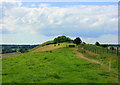 2008 : Long view of Long Knoll